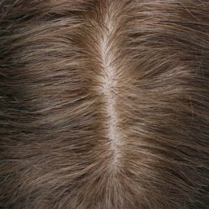 Silk Base with Lace Front and Thin PU Around Extra Diamond Net Cover hair systems 1